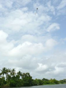 The Kite above the Backwaters