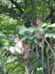 Observing the Traffic