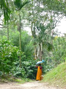 Woman on the Plantation